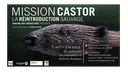 Mission castor - La réintroduction sauvage